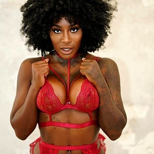 Josy Black