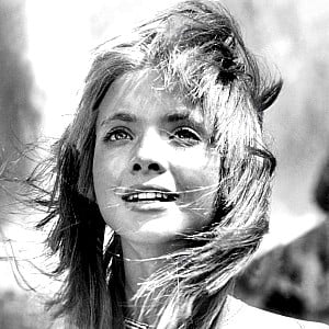 Judi Bowker
