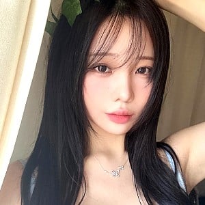 Kaise (Twitch)