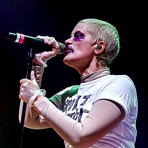 Karin Dreijer