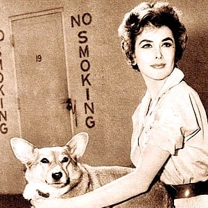 Kay Kendall