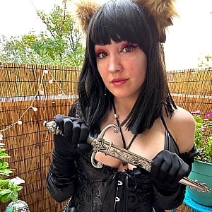 Kitten Stardust