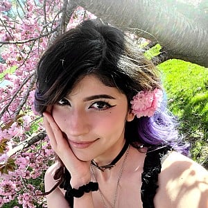 KittyRawr