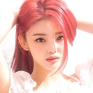 Ko Liha