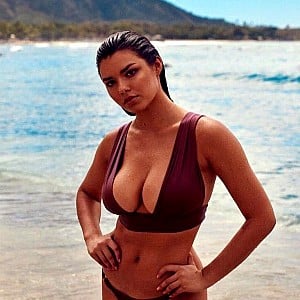 Lauren Searle