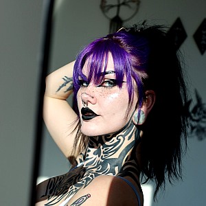 Lavender Daydream