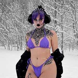 Lavender Daydream
