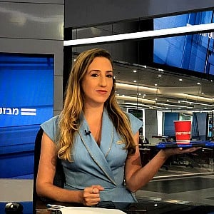Lee Naim (Journalist)