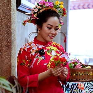 Li Jingjing