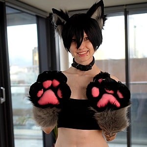 Little Emo Kitten