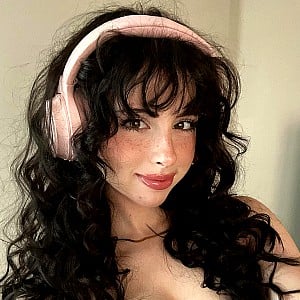 Littlelivbug