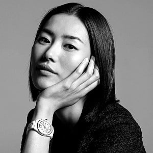 Liu Wen