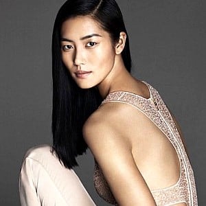 Liu Wen