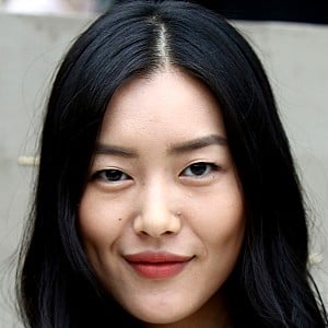 Liu Wen