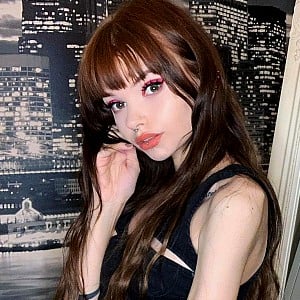 Lolivi