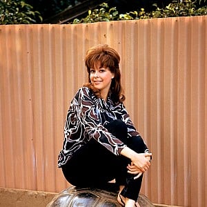 Lorrie Menconi