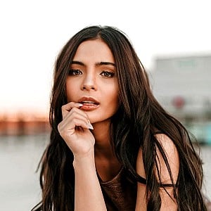 Lovi Poe