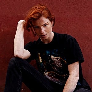 Luca Hollestelle