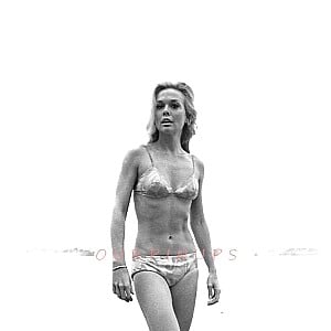 Lynn Borden