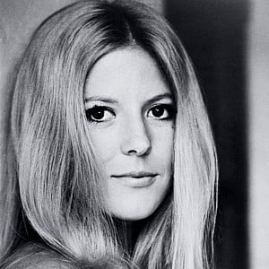 Meredith MacRae