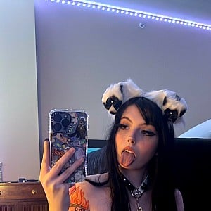 Mewsticc