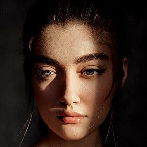 Negin Haghdost