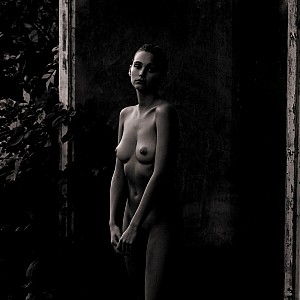 Nikki Hillier