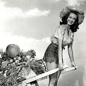 Noel Neill