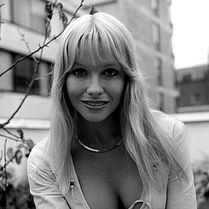 Pamela Stephenson