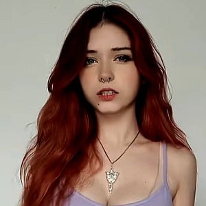Pastelmiilk