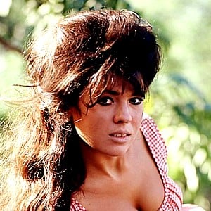 Patti Reynolds