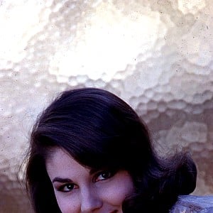 Paula Prentiss