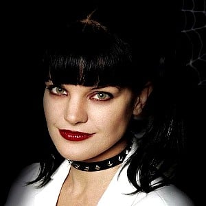 Pauley Perrette