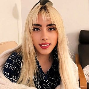 Pornellia