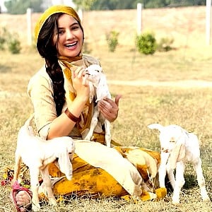 Rabi Pirzada