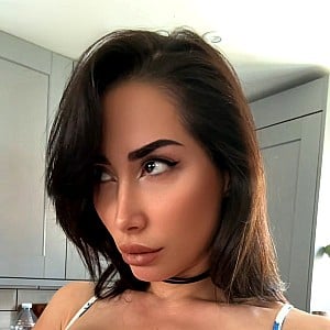 Reede Fox