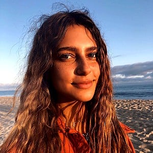 Renee Noe