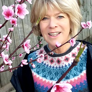 Rosemary Ashe