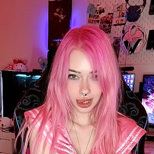 Saekkico