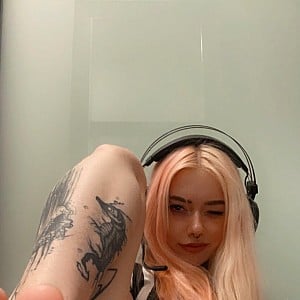 Saekkico