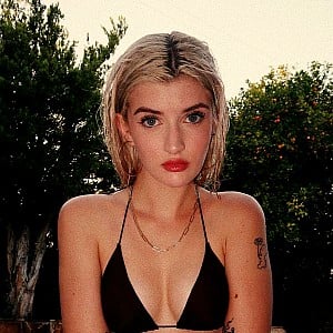 Sam Sheen