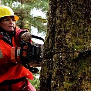 Sarah Palin