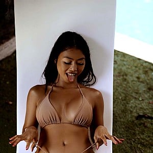 Scarlet Assian