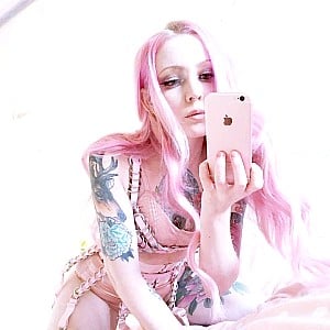 Shamandalie Fox