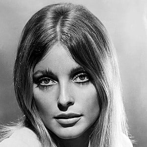 Sharon Tate