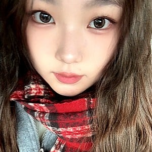 Shea Liu