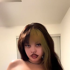 Shegos Cunt