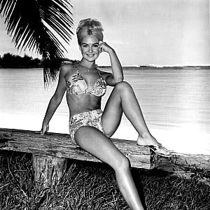 Shelley Fabares