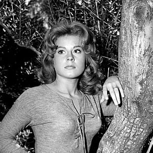 Sherry Jackson