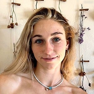 Siena Palicke